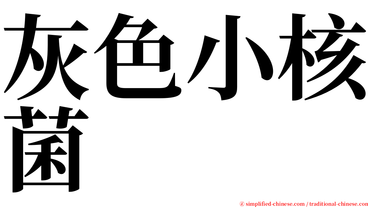 灰色小核菌 serif font