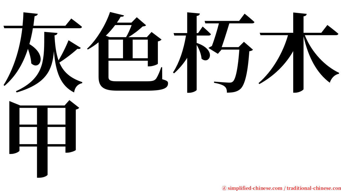 灰色朽木甲 serif font