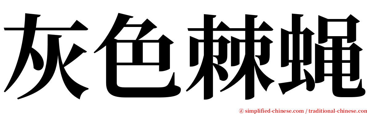 灰色棘蝇 serif font