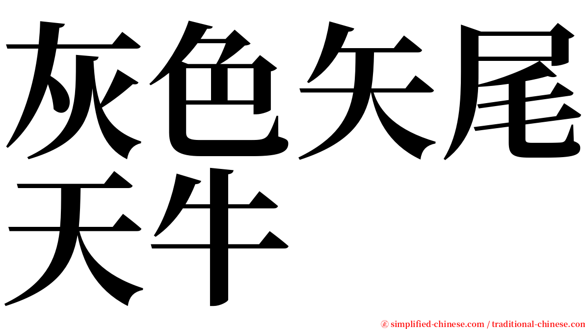 灰色矢尾天牛 serif font