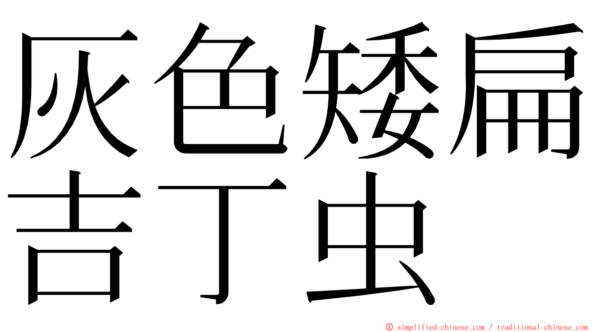 灰色矮扁吉丁虫 ming font