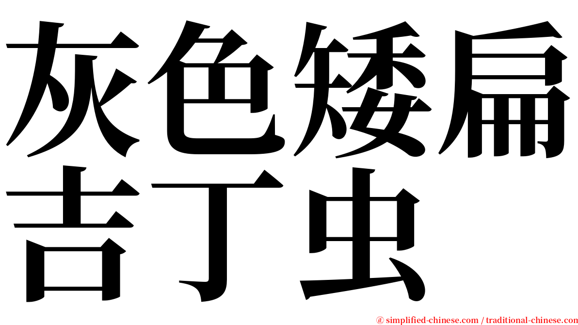 灰色矮扁吉丁虫 serif font