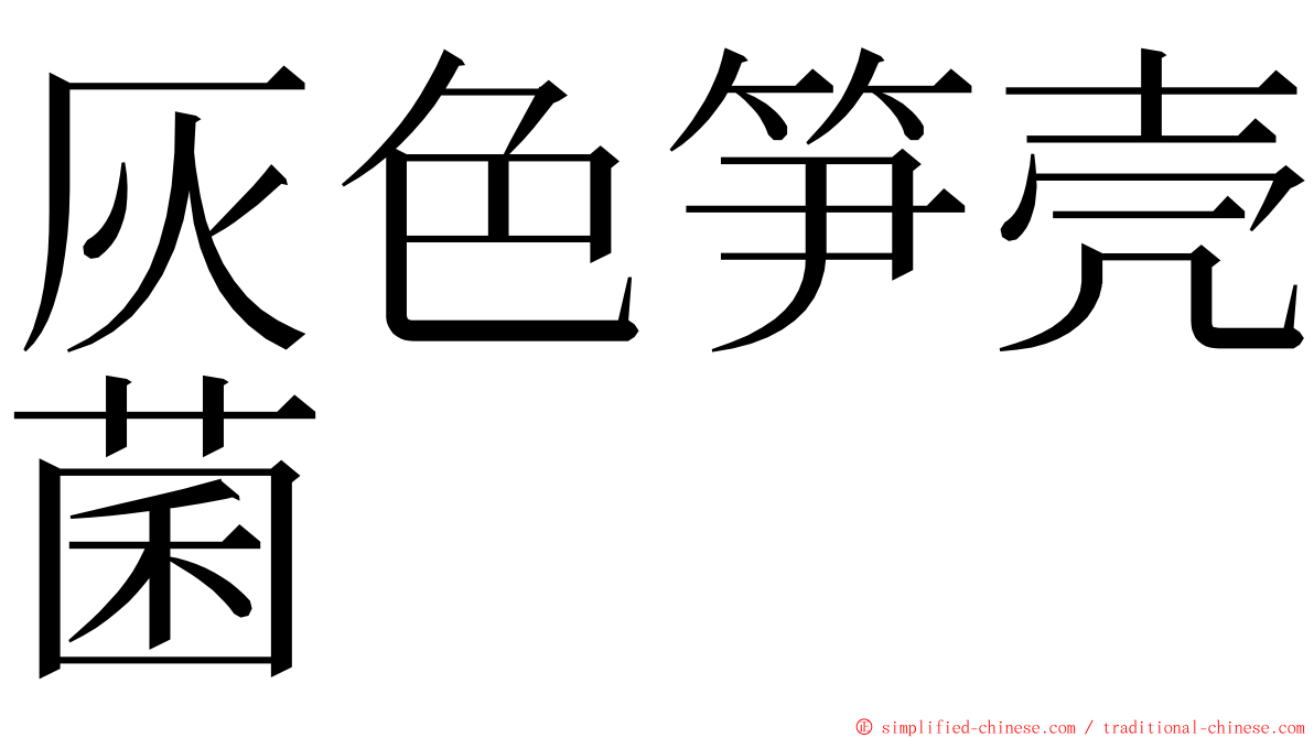 灰色笋壳菌 ming font