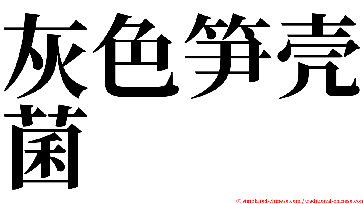 灰色笋壳菌 serif font