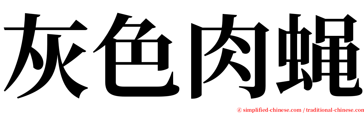 灰色肉蝇 serif font