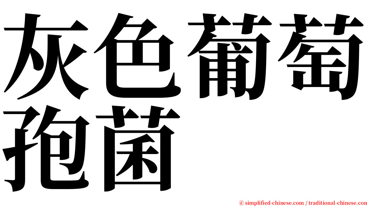 灰色葡萄孢菌 serif font