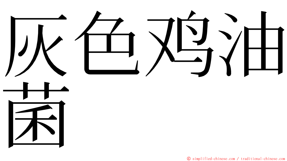 灰色鸡油菌 ming font