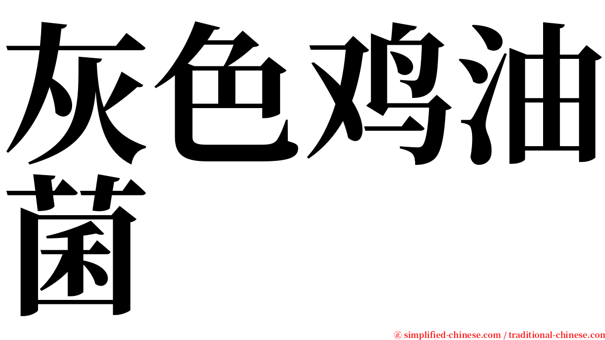 灰色鸡油菌 serif font