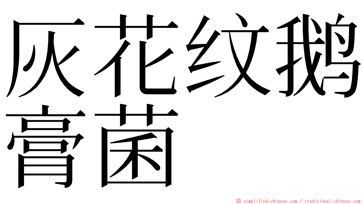 灰花纹鹅膏菌 ming font