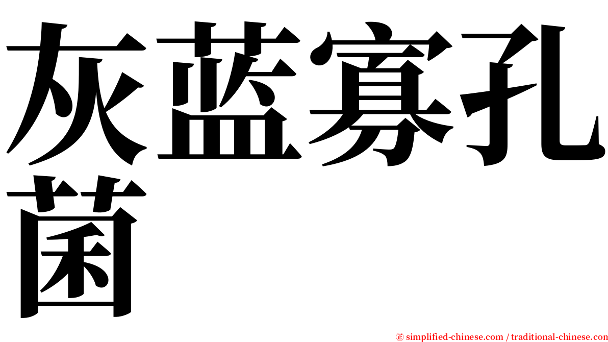 灰蓝寡孔菌 serif font