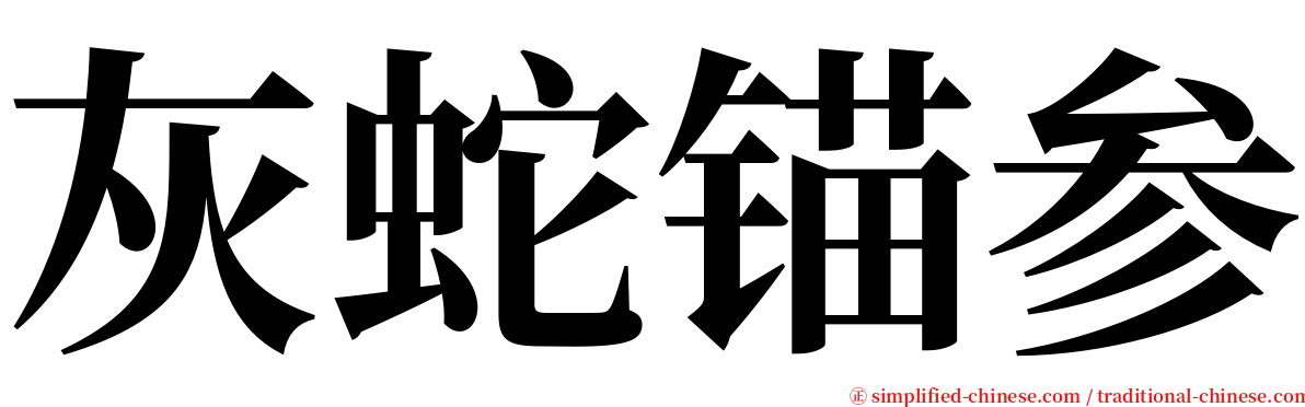 灰蛇锚参 serif font