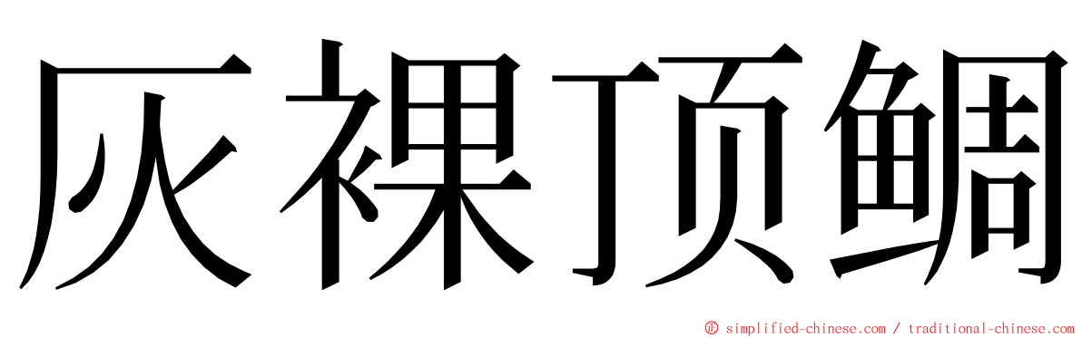 灰裸顶鲷 ming font