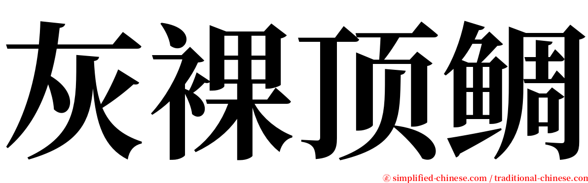 灰裸顶鲷 serif font