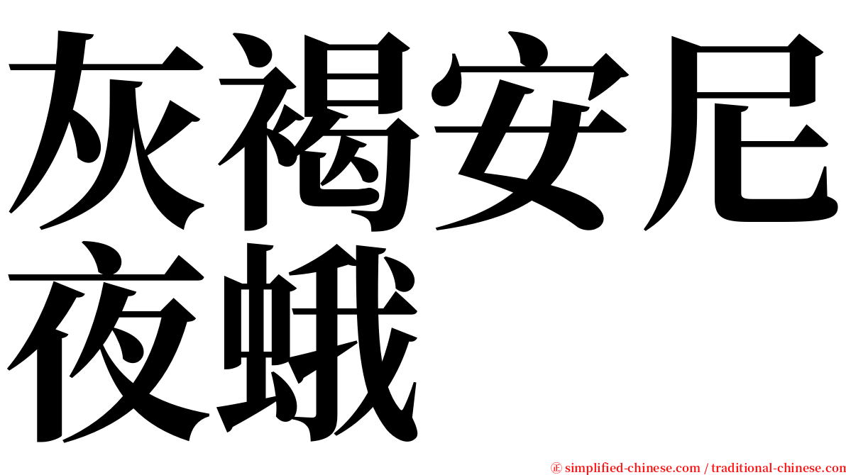 灰褐安尼夜蛾 serif font