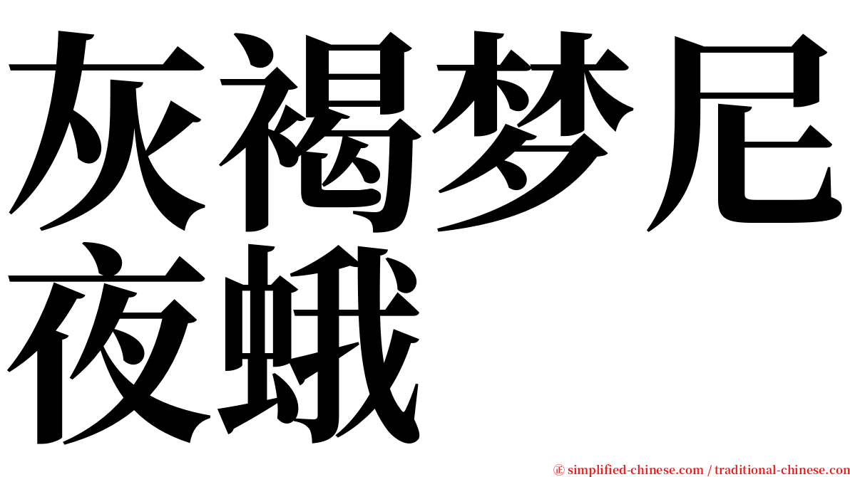 灰褐梦尼夜蛾 serif font