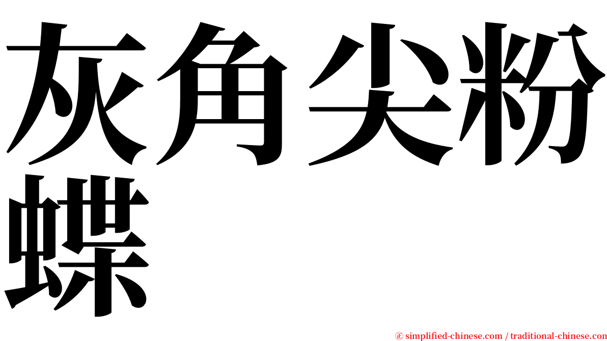 灰角尖粉蝶 serif font