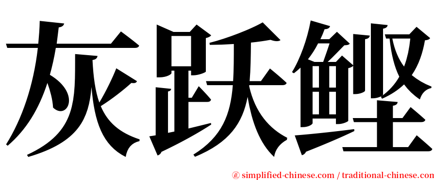 灰跃鲣 serif font