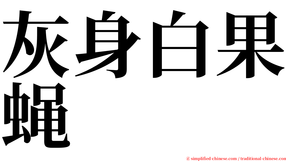 灰身白果蝇 serif font