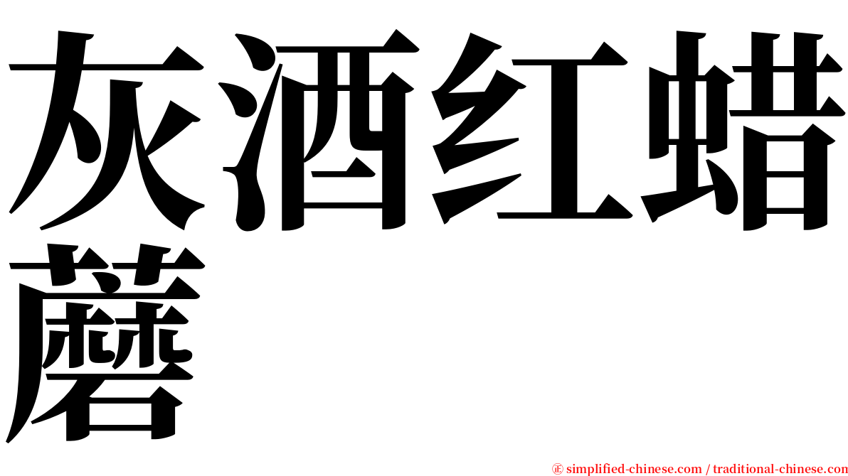 灰酒红蜡蘑 serif font