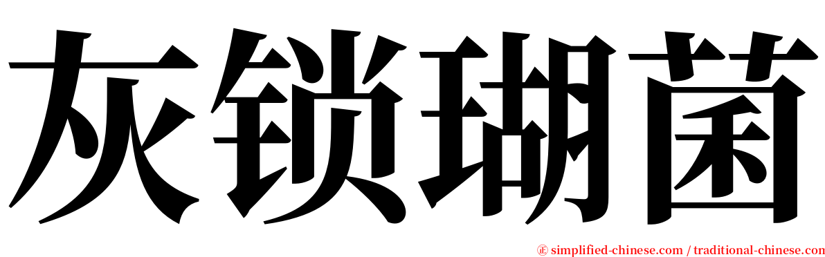 灰锁瑚菌 serif font