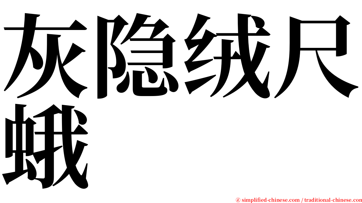 灰隐绒尺蛾 serif font