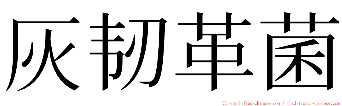 灰韧革菌 ming font