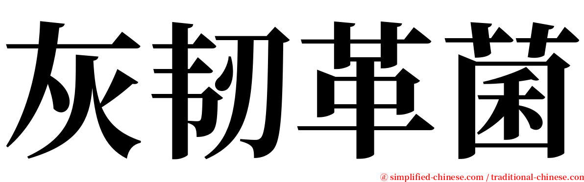 灰韧革菌 serif font