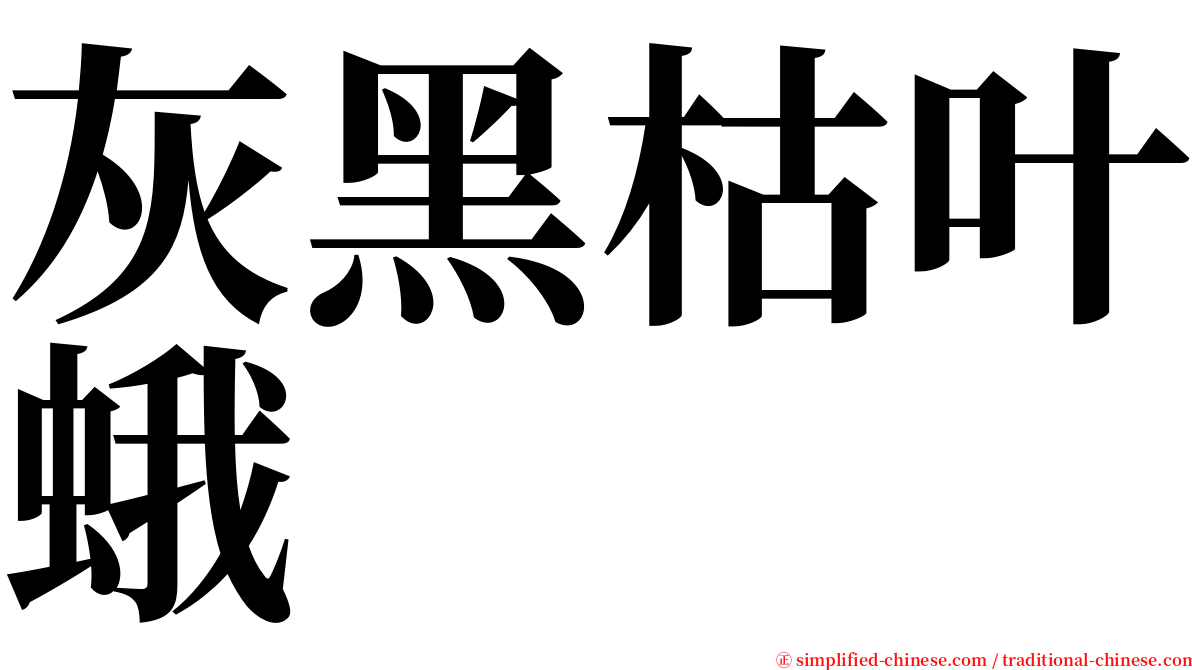 灰黑枯叶蛾 serif font