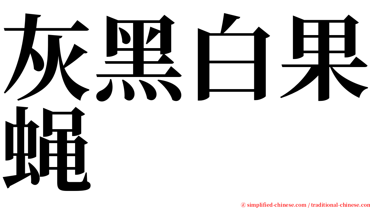 灰黑白果蝇 serif font