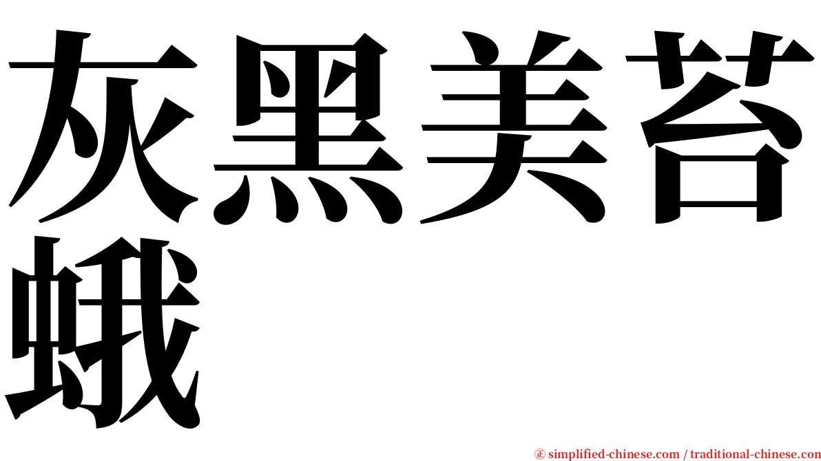 灰黑美苔蛾 serif font