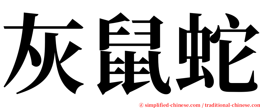 灰鼠蛇 serif font