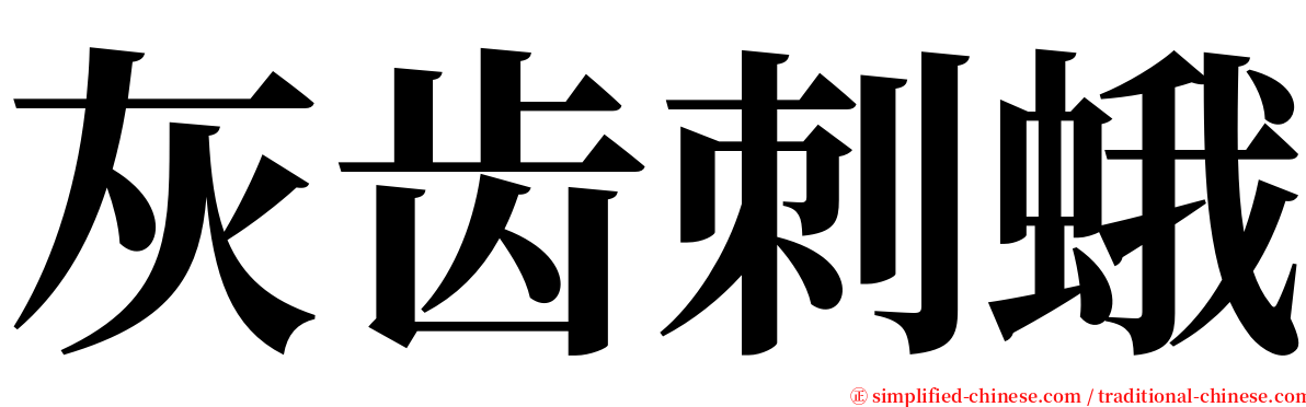 灰齿刺蛾 serif font