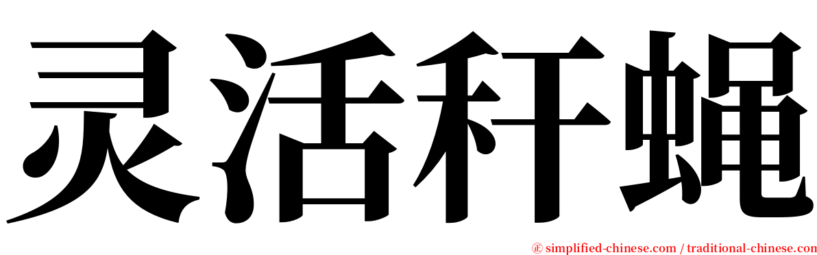 灵活秆蝇 serif font