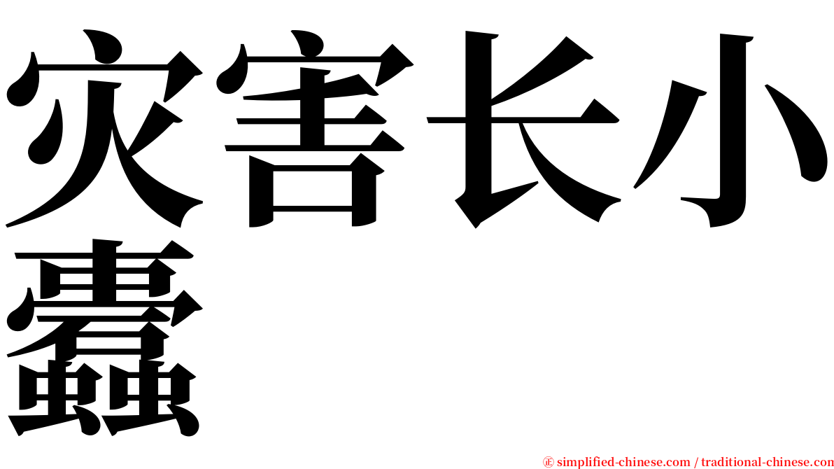 灾害长小蠹 serif font