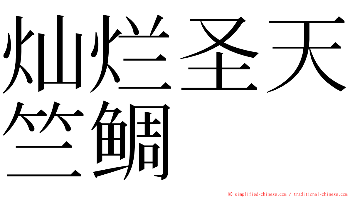 灿烂圣天竺鲷 ming font