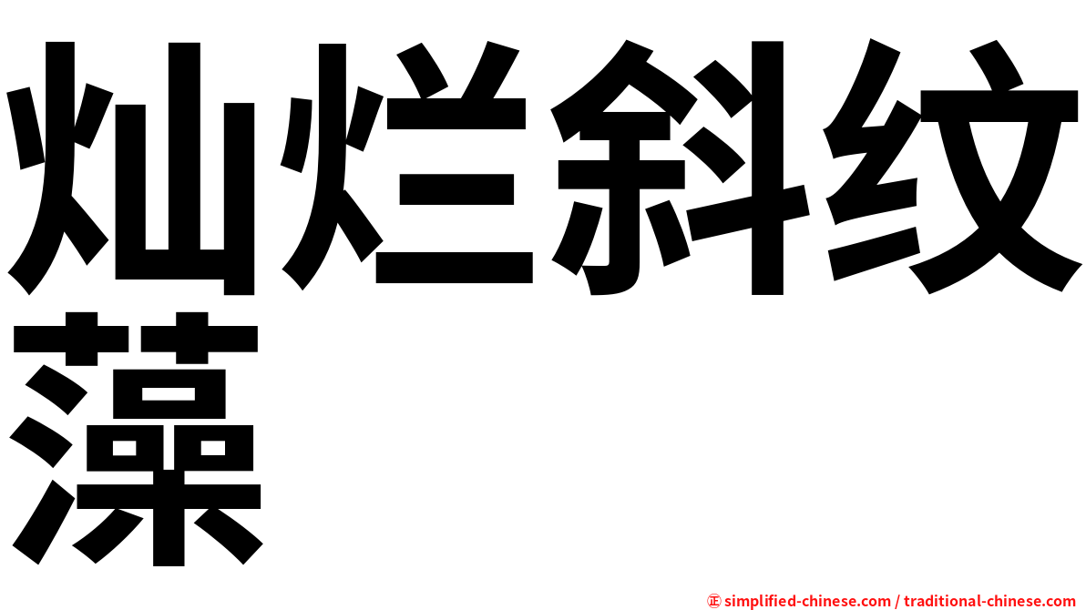 灿烂斜纹藻