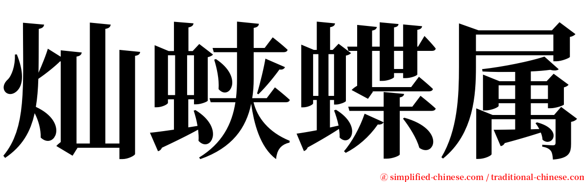 灿蛱蝶属 serif font