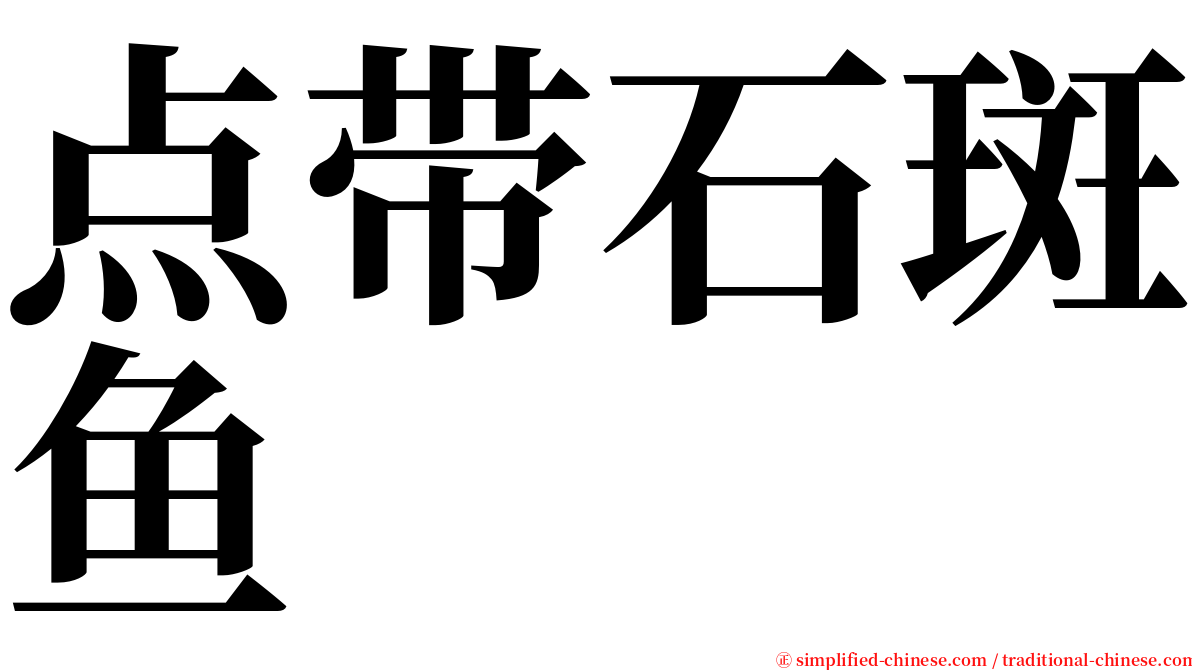 点带石斑鱼 serif font