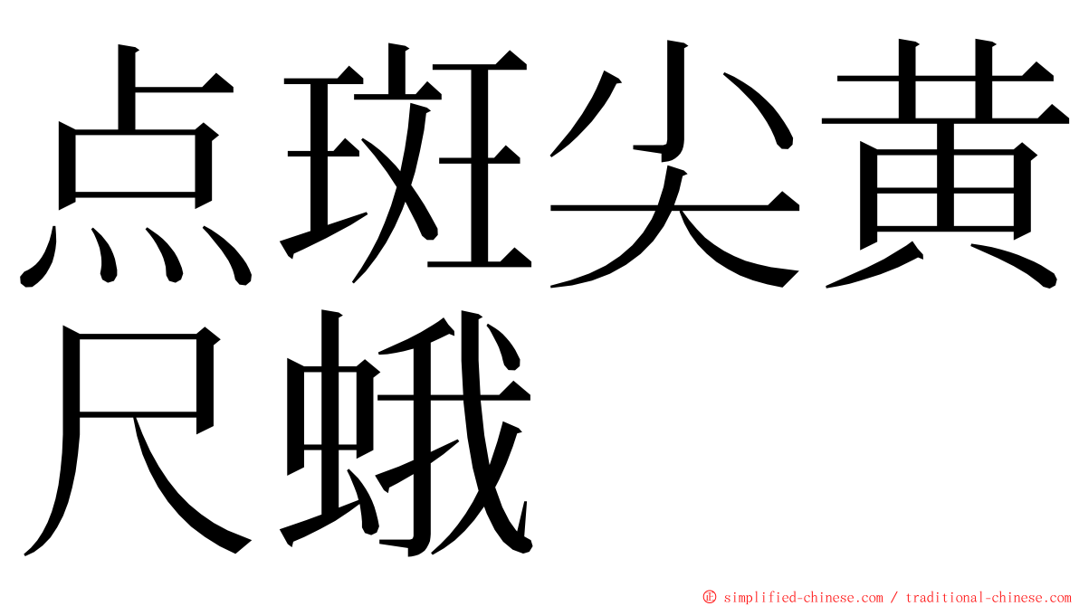 点斑尖黄尺蛾 ming font