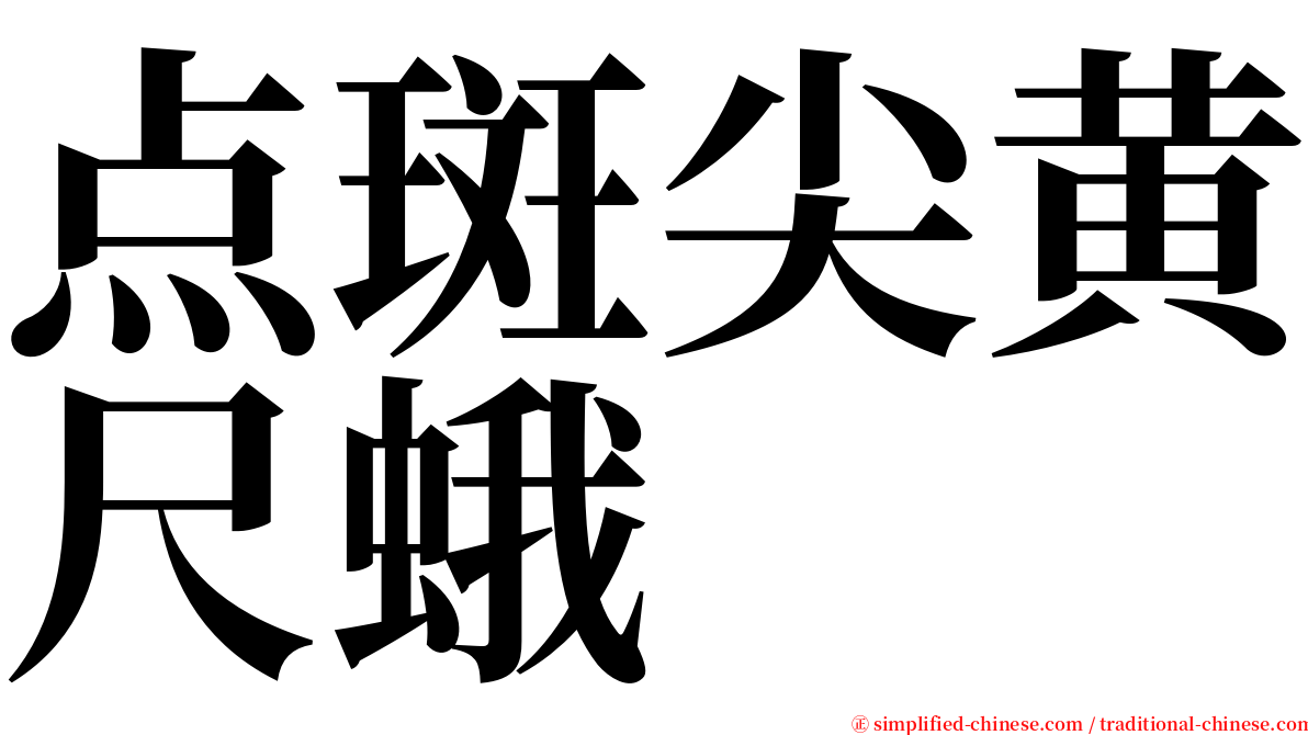 点斑尖黄尺蛾 serif font