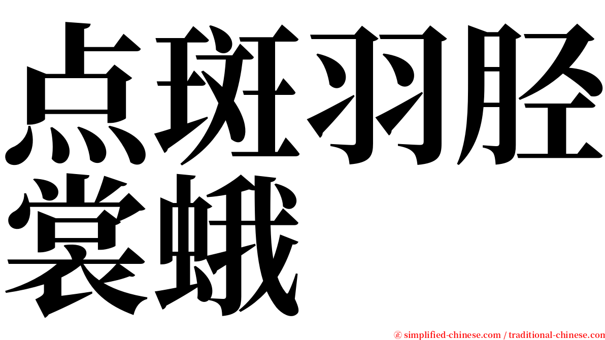 点斑羽胫裳蛾 serif font