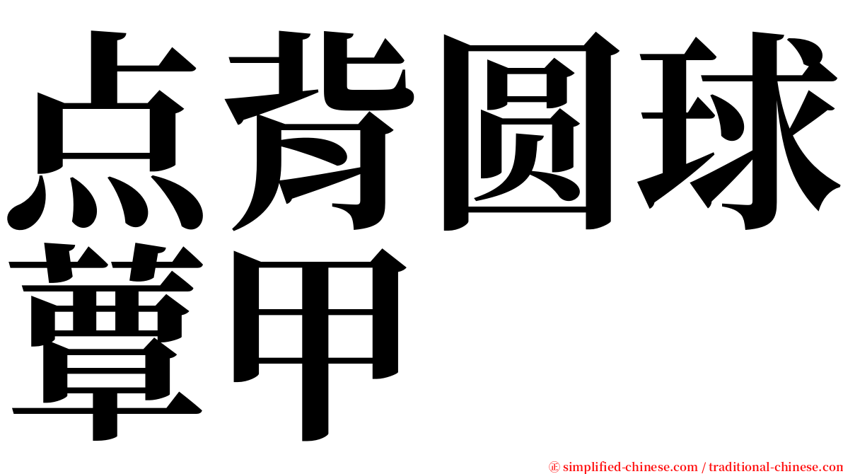 点背圆球蕈甲 serif font