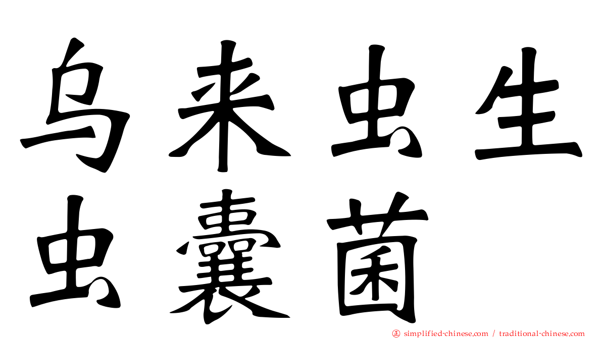 乌来虫生虫囊菌