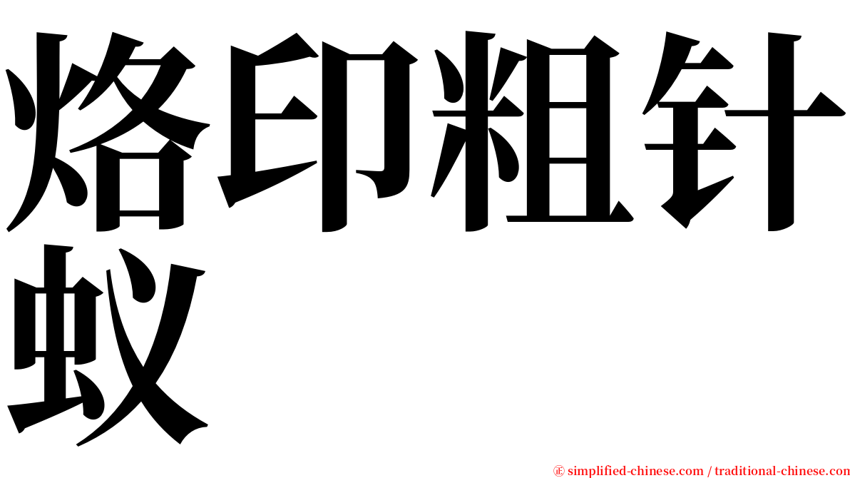 烙印粗针蚁 serif font