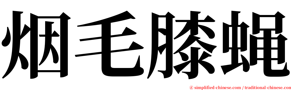 烟毛膝蝇 serif font