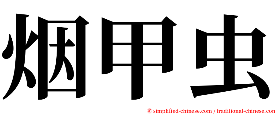 烟甲虫 serif font