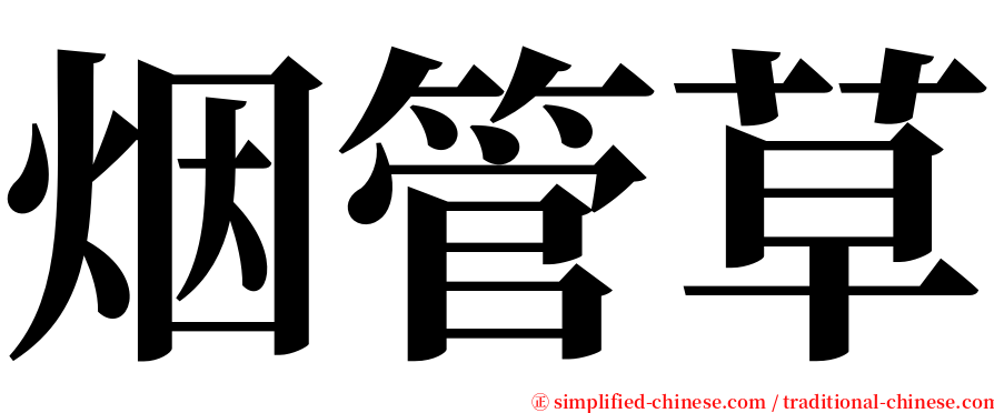 烟管草 serif font