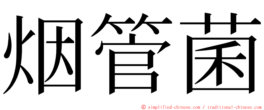 烟管菌 ming font