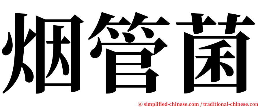 烟管菌 serif font