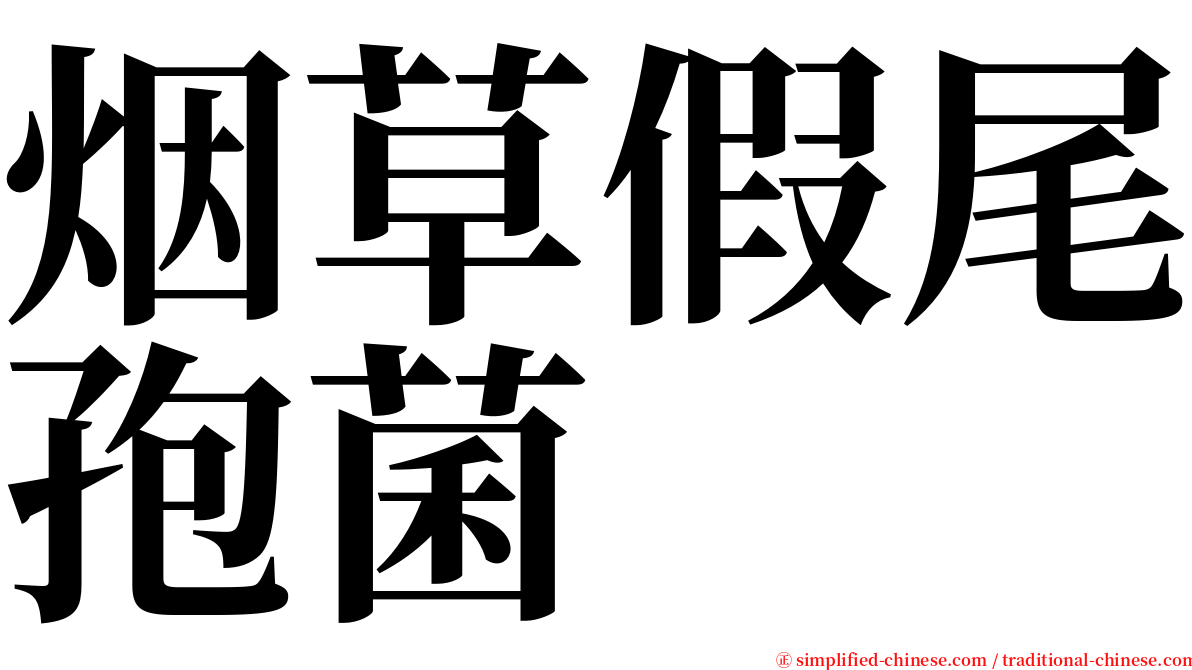 烟草假尾孢菌 serif font